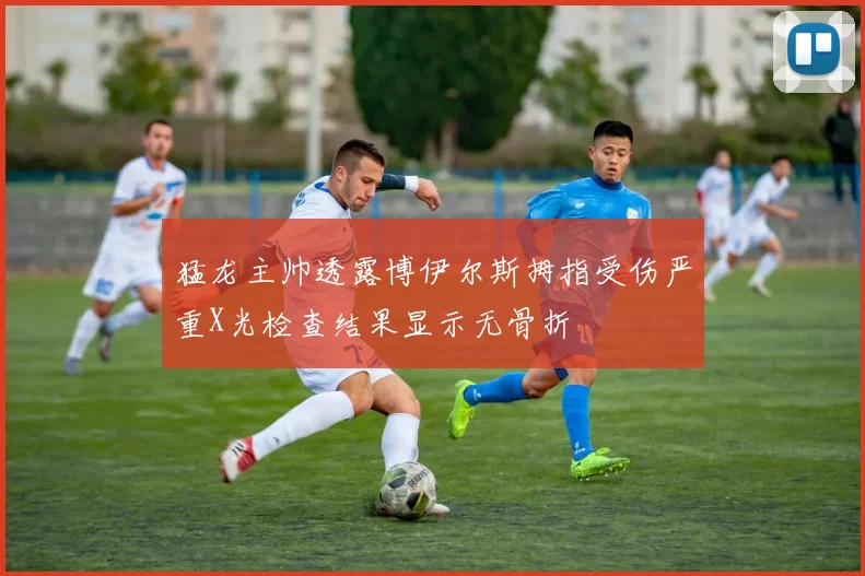 猛龙主帅透露博伊尔斯拇指受伤严重X光检查结果显示无骨折
