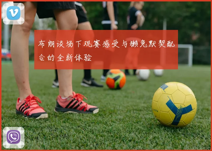 布朗谈场下观赛感受与獭兔默契配合的全新体验